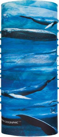 BUFF NG UV+ Blue Whale